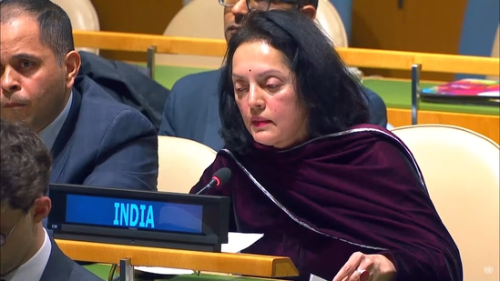 Russia-Ukraine war: Indian representative to UN reiterates PM Modi's thoughts