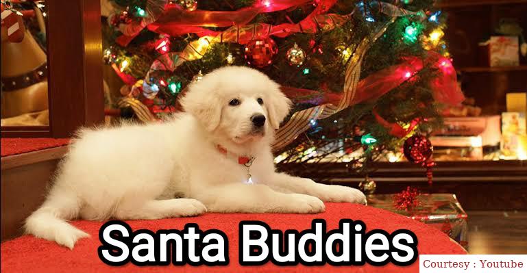 Santa Buddies