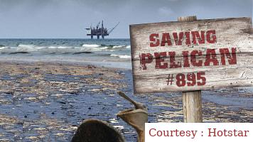 Saving Pelican 895
