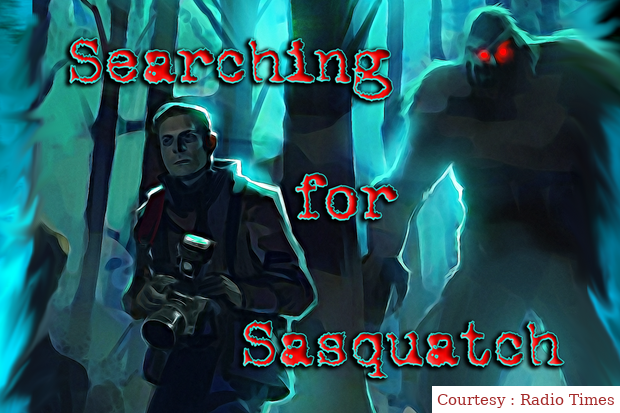 Searching for Sasquatch