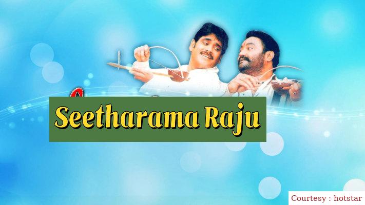 Watch Free  Seetharama Raju Full Movie Online