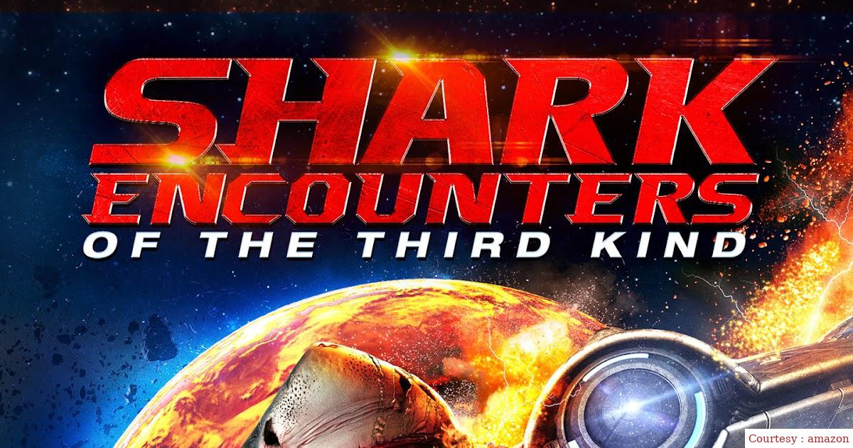 Shark Encounters of the Third Kind