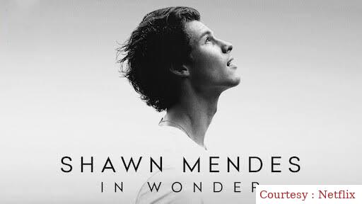 Shawn Mendes: In Wonder