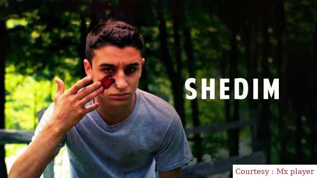 Watch Free Shedim Full Movie Online