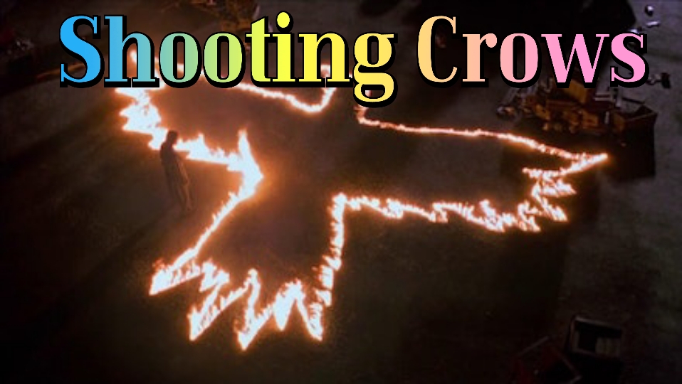 Shooting Crows