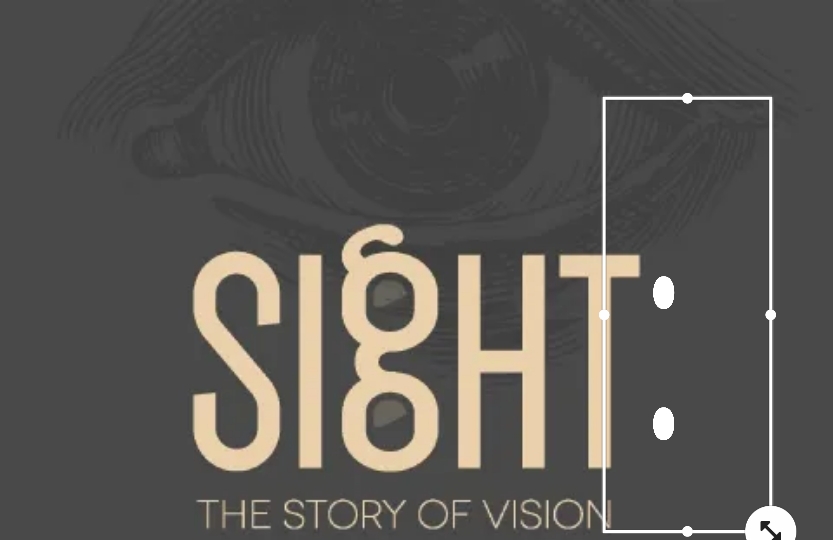 Sight: The Story of Vision