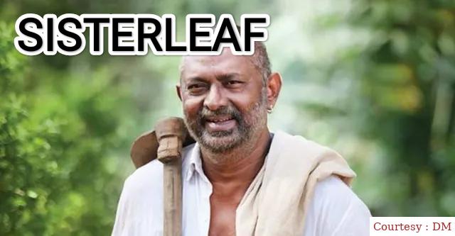 Sisterleaf