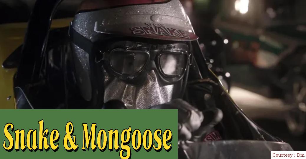 Snake & Mongoose