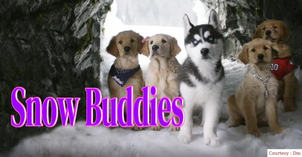 Watch Free  Snow Buddies Full Movie Online