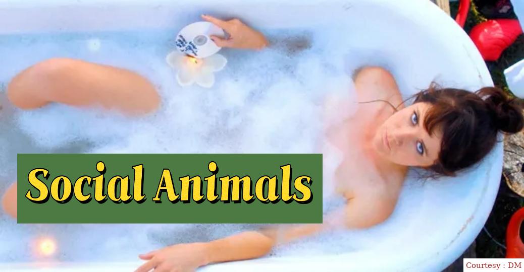 Watch Free  Social Animals Full Movie Online