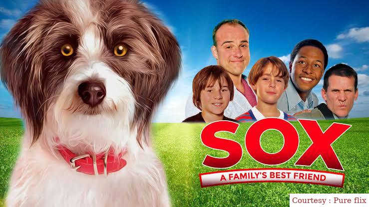 Sox: A Family's Best Friend 