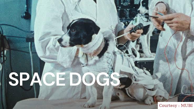Space Dogs 