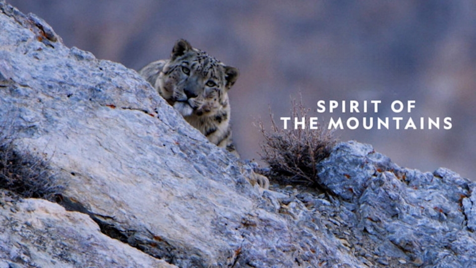 Spirit of the Mountains
