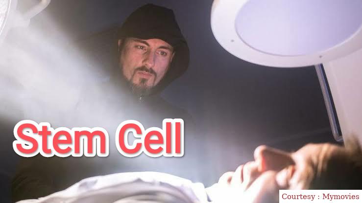 Stem Cell 