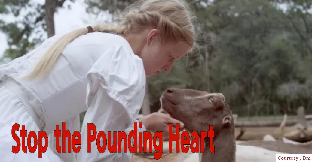 Watch Free  Stop the Pounding Heart Full Movie Online