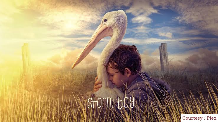 Storm Boy 