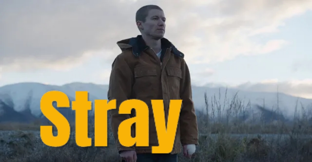 Watch Free  Stray Full Movie Online