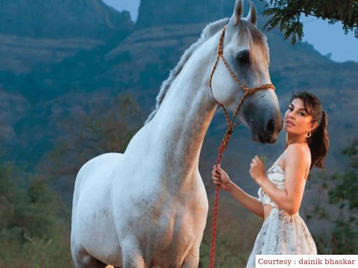 जैकलीन के लिए जानवरों का हॉस्पिटल खोलेंगे सुकेश, 25 करोड़ की लागत से बनेगा यह अस्पताल।