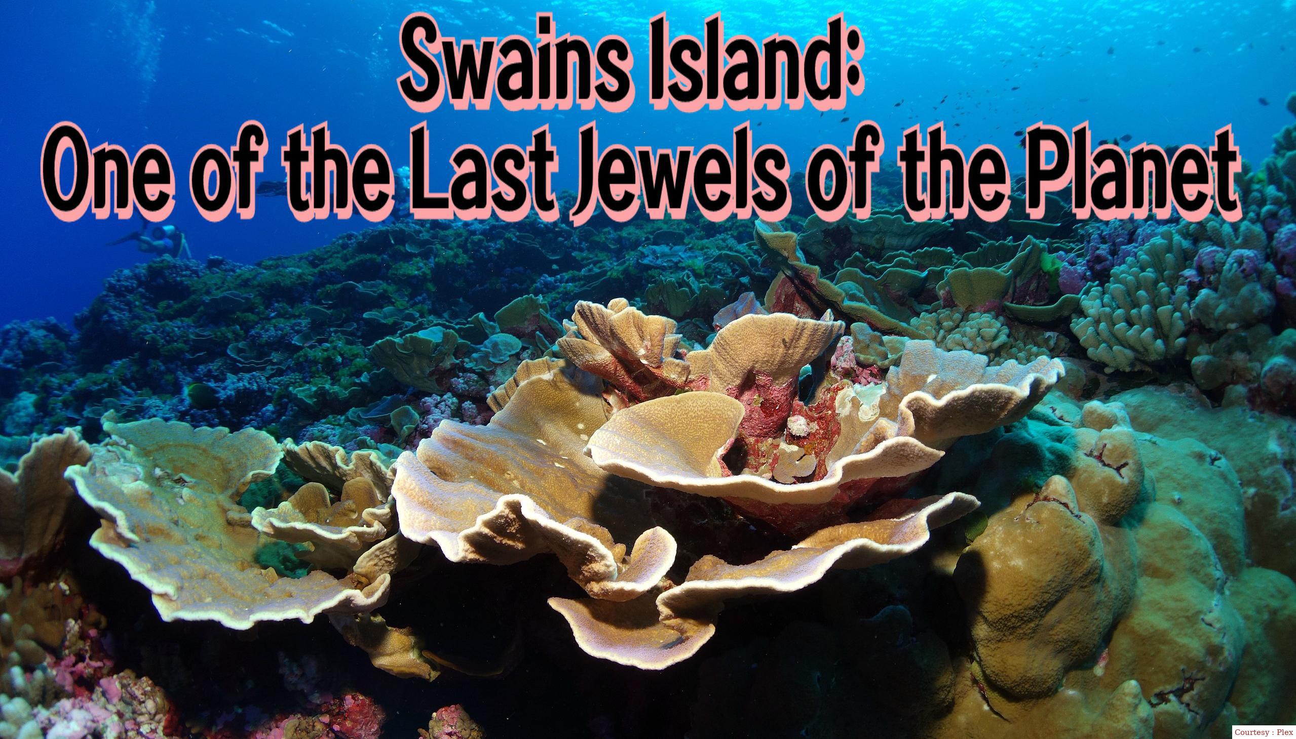 Swains Island: One Of The Last Jewels Of The Planet