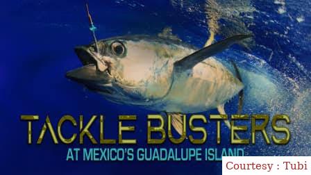 Watch Free Tackle Busters at Mexico's Guadalupe Island Full Movie Online