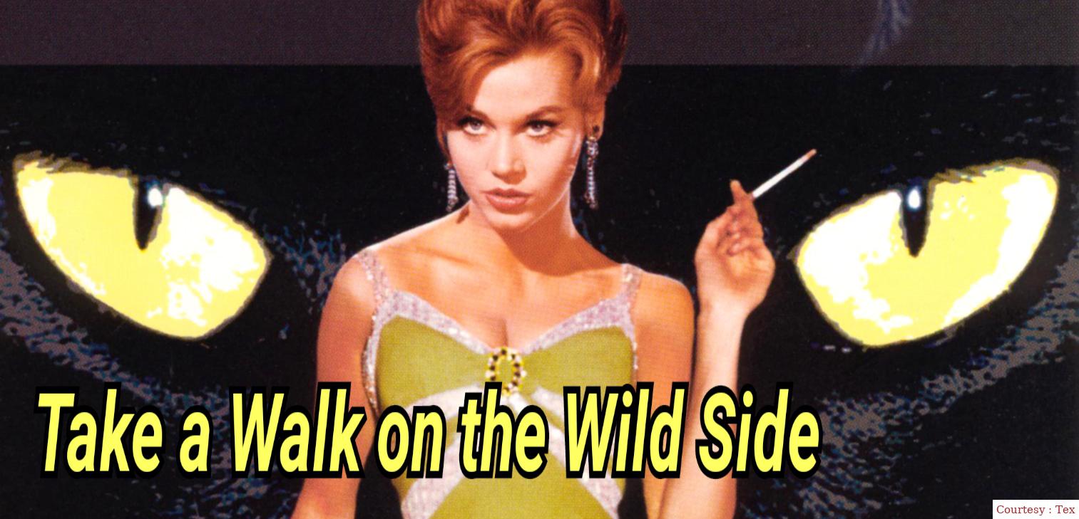Take a Walk on the Wild Side