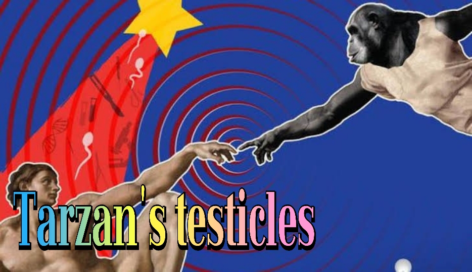 Tarzan's testicles 