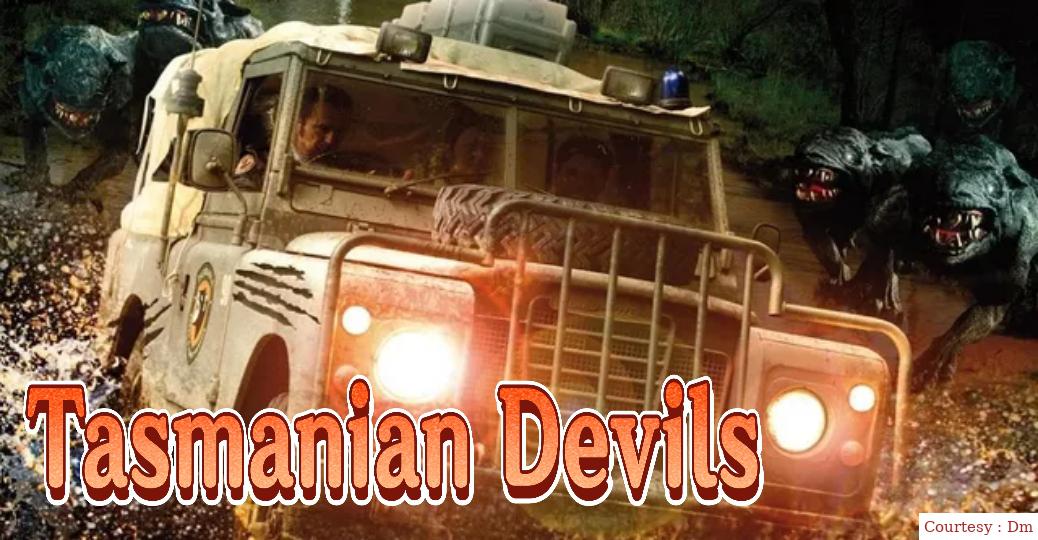 Tasmanian Devils