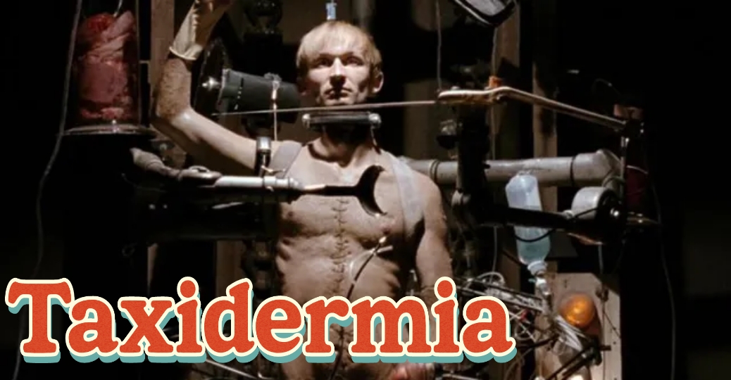Taxidermia 
