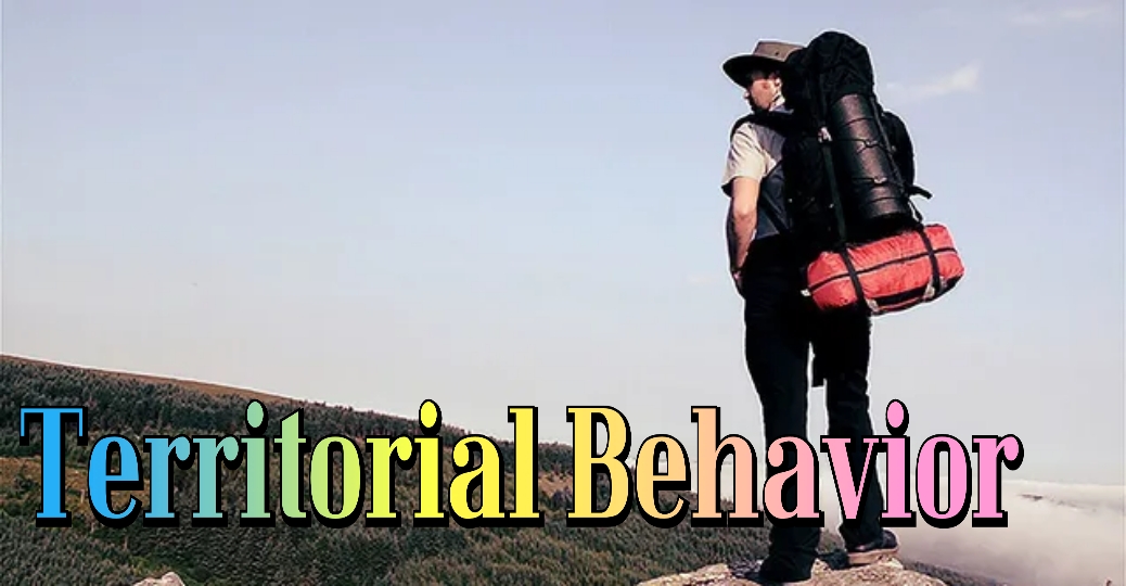 Territorial Behavior