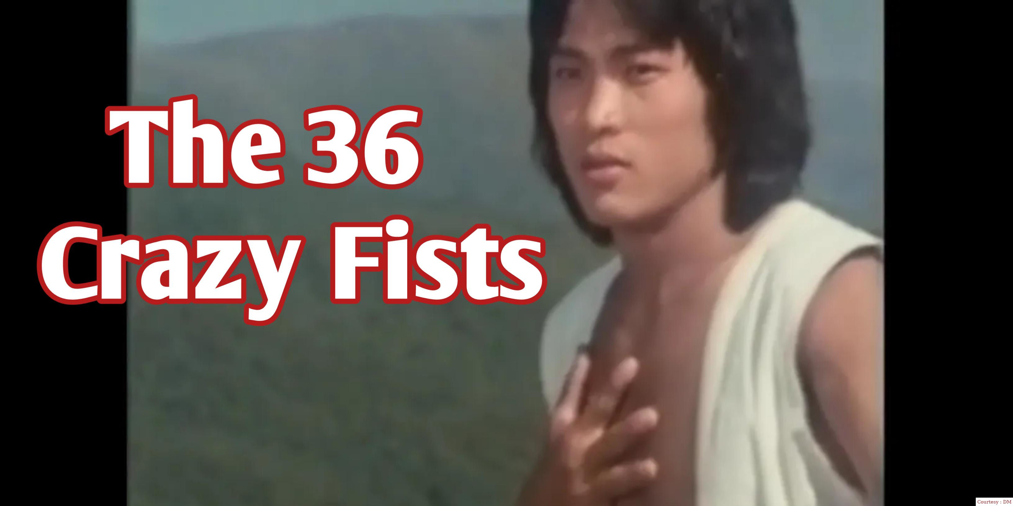 The 36 Crazy Fists 