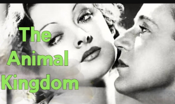 The Animal Kingdom