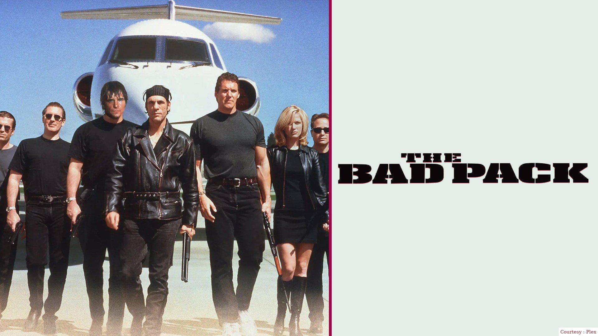 Watch Free  The Bad Pack Full Movie Online