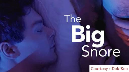 Watch Free  The Big Snore Full Movie Online