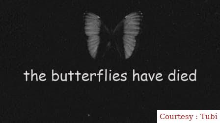 The butterflies have died 