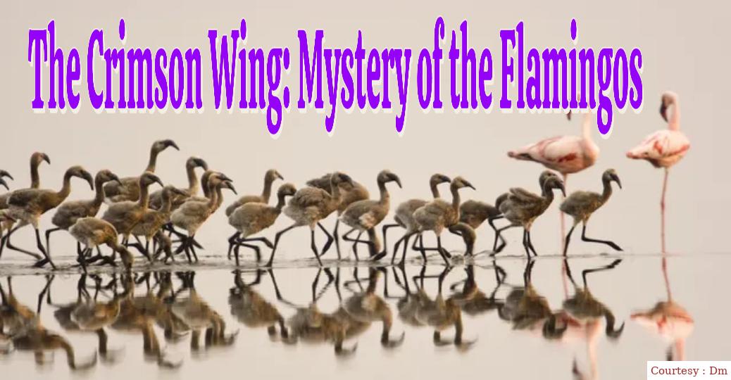 The Crimson Wing: Mystery of the Flamingos