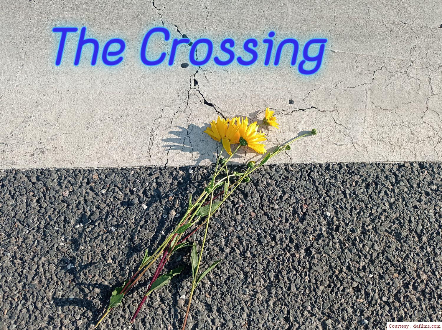 Watch Free  The Crossing Full Movie Online