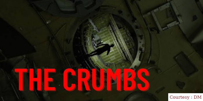 The Crumbs 