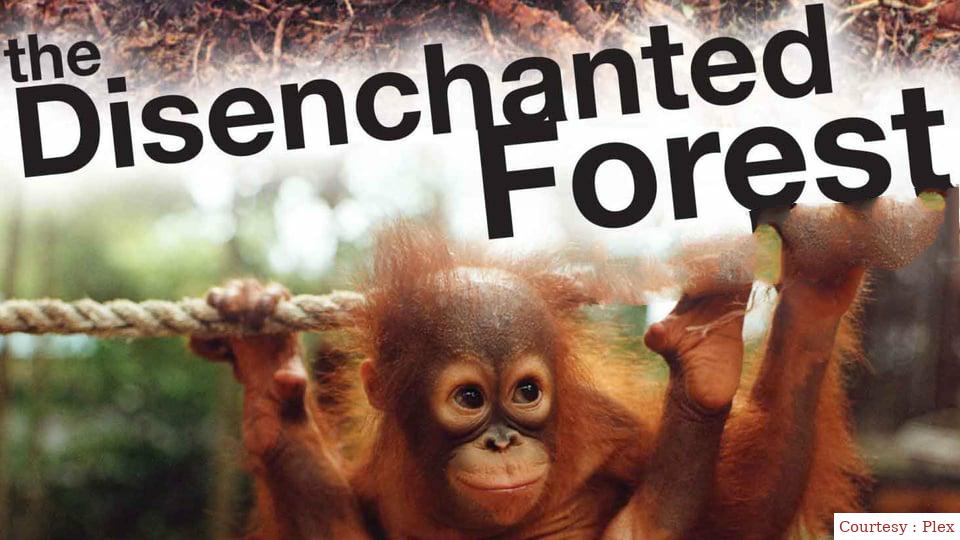 Watch Free  The Disenchanted Forest Full Movie Online