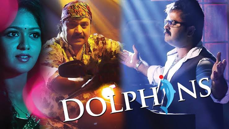 The Dolphins
