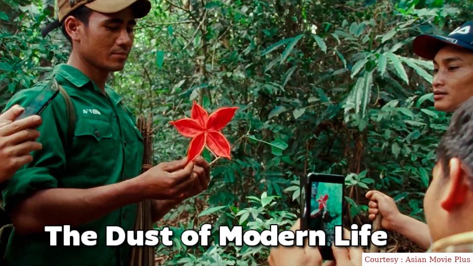 The Dust of Modern Life