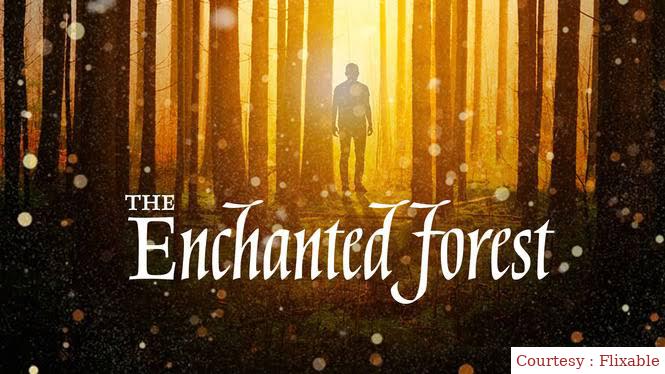 Watch Free  The Enchanted Forest Full Movie Online