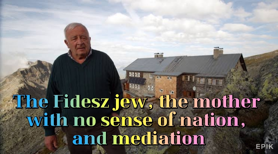 The Fidesz jew, the mother with no sense of nation, and mediation