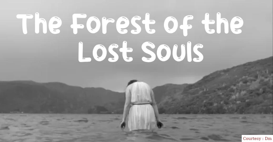 The Forest of the Lost Souls 