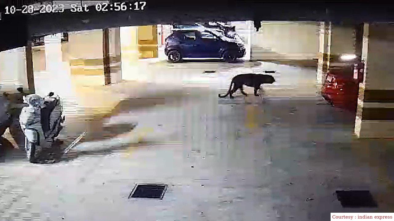 The formation of a team to capture the leopard in the IT corridor of Bengaluru.