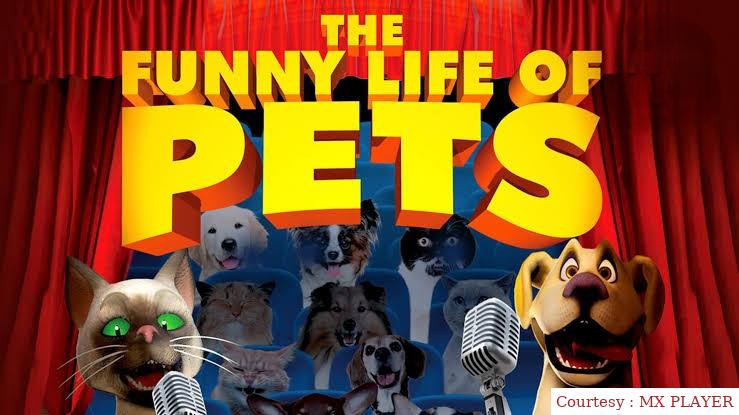 The Funny Life of Pets 