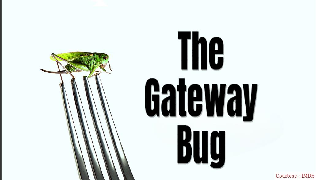 Watch Free  The Gateway Bug Full Movie Online