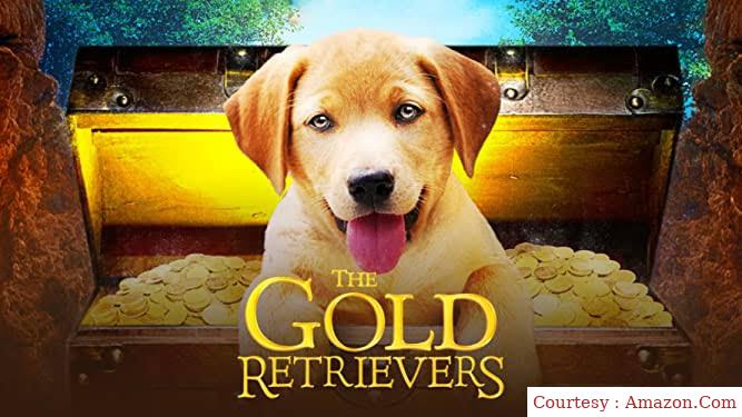 The Gold Retrievers