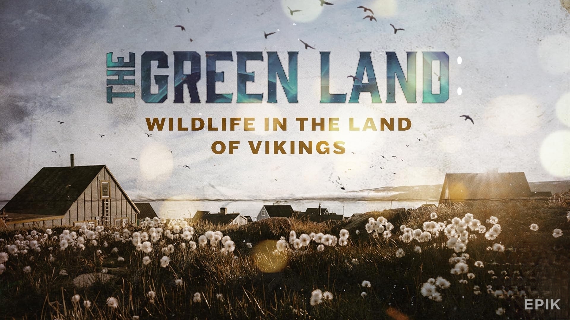 The Green Land: Wildlife in the Land of Vikings
