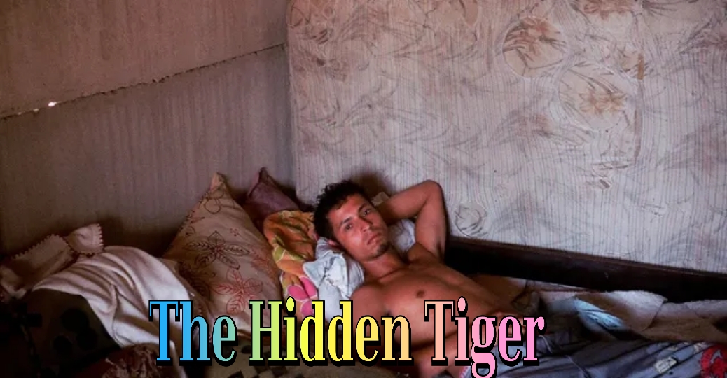 The Hidden Tiger 