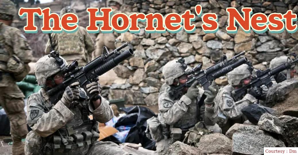 The Hornet's Nest